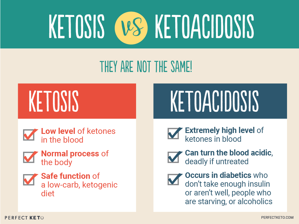 What Is Ketosis Perfect Keto Exogenous Ketones what-is-ketosis-perfect-keto-exogenous-ketones