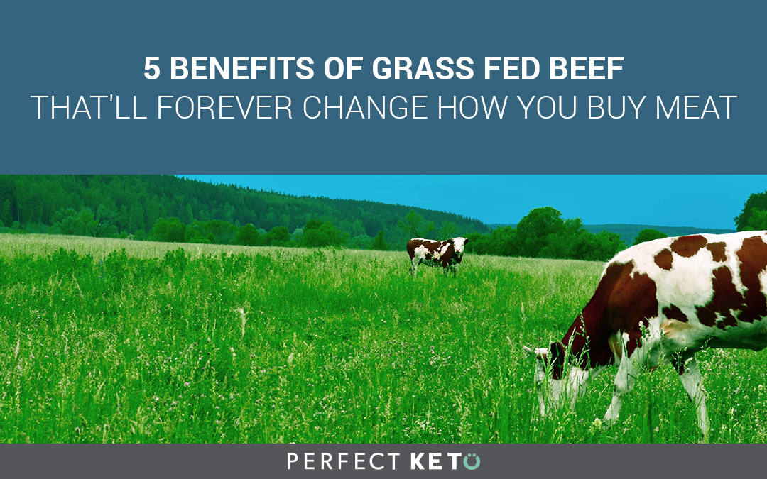 5 Benefits of Grass Fed Beef That’ll Forever Change How You Buy Meat
