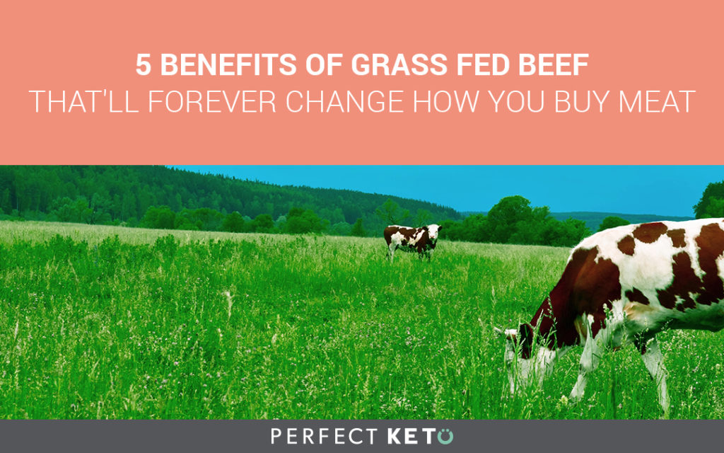 5 Benefits of Grass Fed Beef That’ll Forever Change How You Buy Meat