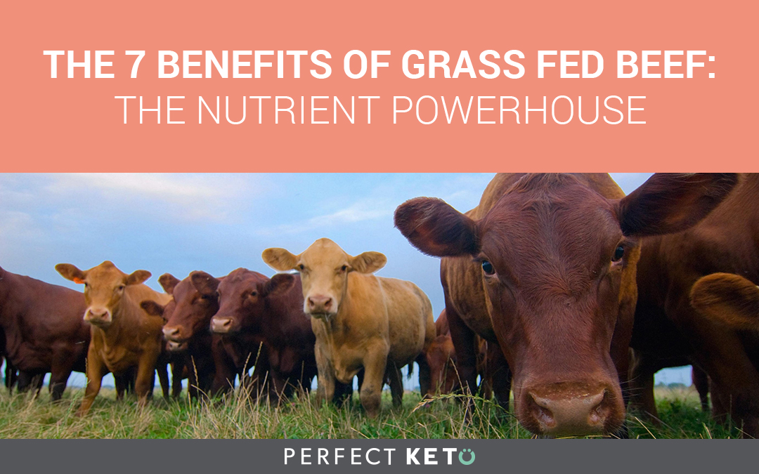 The 7 Benefits of Grass Fed Beef The Nutritional Powerhouse