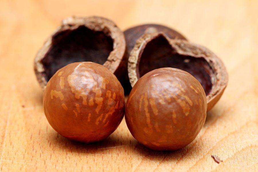 Macadamia Nuts Nutrition: Everything You Need to Know About this Snack